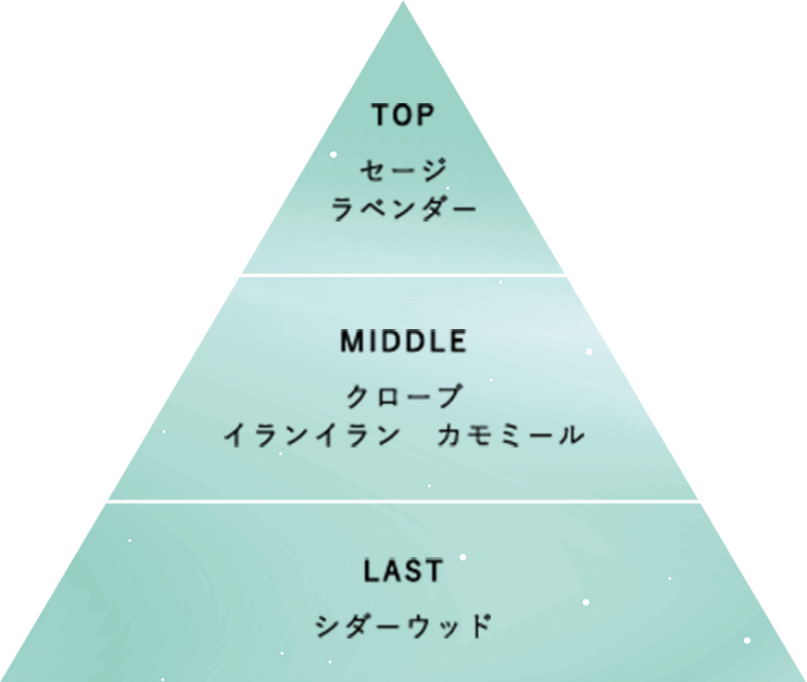 清々しいウッディ調の香り セージ&クローブ