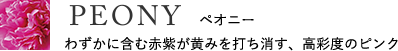 BRICK　ブリック　ピンクみを含む柔らかなウォーム系ベージュ