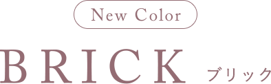 New Color BRICK ブリック